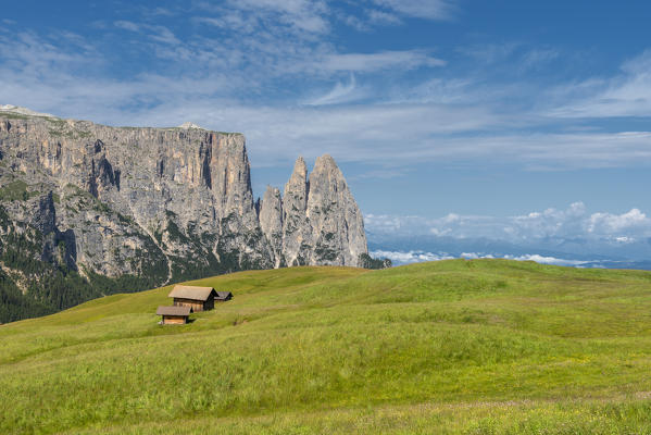 Alpe di Siusi/Seiser Alm, Dolomites, South Tyrol, Italy. 