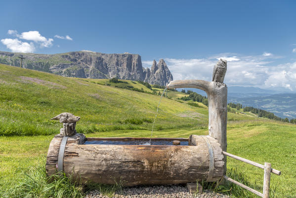 Alpe di Siusi/Seiser Alm, Dolomites, South Tyrol, Italy. 