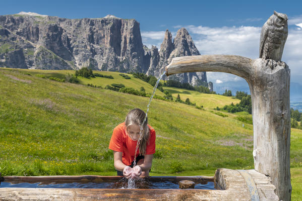 Alpe di Siusi/Seiser Alm, Dolomites, South Tyrol, Italy. 