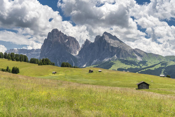 Alpe di Siusi/Seiser Alm, Dolomites, South Tyrol, Italy. 