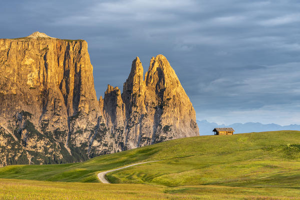 Alpe di Siusi/Seiser Alm, Dolomites, South Tyrol, Italy. Sunrise on the Alpe di Siusi with the peaks of Sciliar