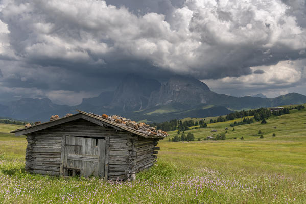 Alpe di Siusi/Seiser Alm, Dolomites, South Tyrol, Italy. Storm clouds over the Sassolungo