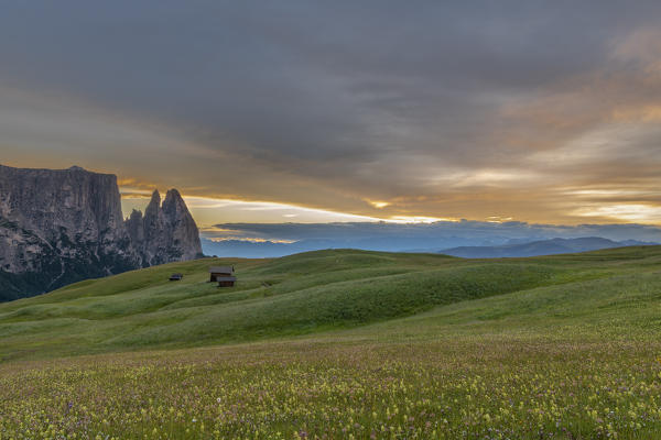 Alpe di Siusi/Seiser Alm, Dolomites, South Tyrol, Italy. Dusk over Alpe di Siusi with the peaks of Sciliar