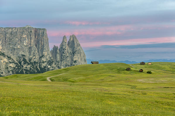 Alpe di Siusi/Seiser Alm, Dolomites, South Tyrol, Italy. Dusk over Alpe di Siusi with the peaks of Sciliar