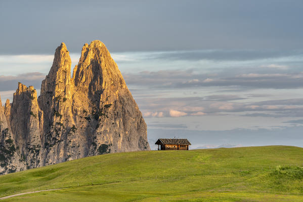 Alpe di Siusi/Seiser Alm, Dolomites, South Tyrol, Italy. Sunrise on Alpe di Siusi with the peaks of Sciliar