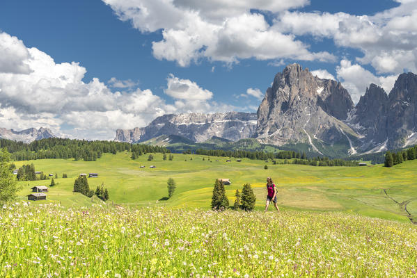 Alpe di Siusi/Seiser Alm, Dolomites, South Tyrol, Italy.  (MR)