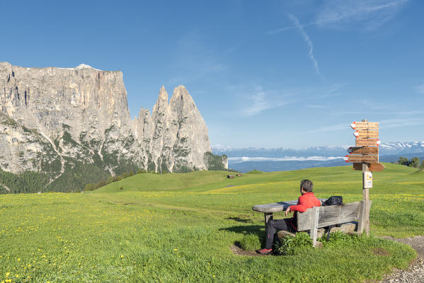 Alpe di Siusi/Seiser Alm, Dolomites, South Tyrol, Italy. 
A hiker admires the mountain panorama
