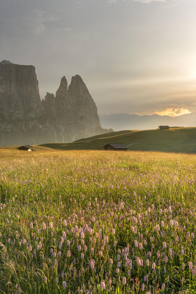 Alpe di Siusi/Seiser Alm, Dolomites, South Tyrol, Italy. Sunset after the thunderstorm