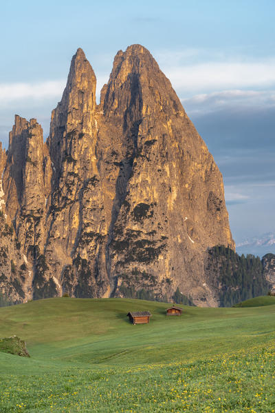 Alpe di Siusi/Seiser Alm, Dolomites, South Tyrol, Italy. Sunrise on the Alpe di Siusi with the peaks of Santner and Euringer