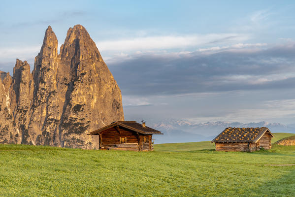 Alpe di Siusi/Seiser Alm, Dolomites, South Tyrol, Italy. Sunrise on the Alpe di Siusi with the peaks of Santner and Euringer