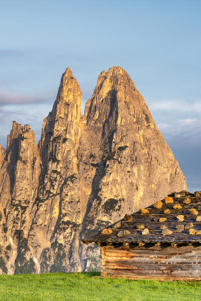 Alpe di Siusi/Seiser Alm, Dolomites, South Tyrol, Italy. Sunrise on the Alpe di Siusi with the peaks of Santner and Euringer