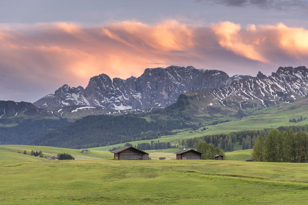 Alpe di Siusi/Seiser Alm, Dolomites, South Tyrol, Italy. Dusk on the Alpe di Siusi/Seiser Alm with the peaks of Catinaccio