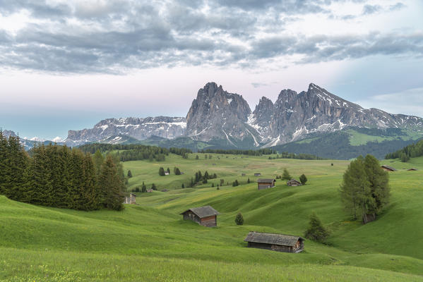 Alpe di Siusi/Seiser Alm, Dolomites, South Tyrol, Italy. Sunset on the Alpe di Siusi/Seiser Alm with the peaks of Sassolungo and Sassopiatto