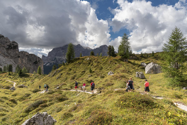 Misurina, Dolomites, province of Belluno, Veneto, Italy. Hikers in the Cadini mountain group