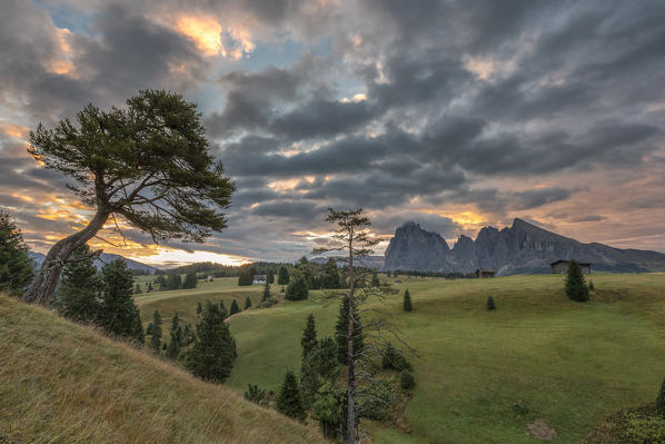 Alpe di Siusi/Seiser Alm, Dolomites, South Tyrol, Italy. 
Sunrise on the Alpe di Siusi with Sassolungo and Sassopiatto in the background