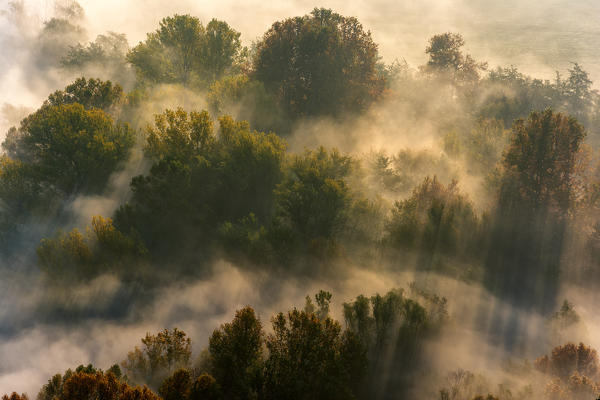 Franciacorta morning in Winter season, Brescia province, Lombardy district, Italy, Europe