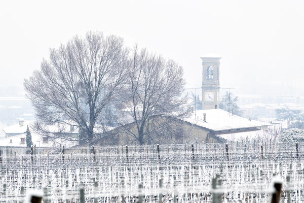 Snowfall in Franciacorta in Winter season, Brescia province, Lombardy district, Italy, Europe.