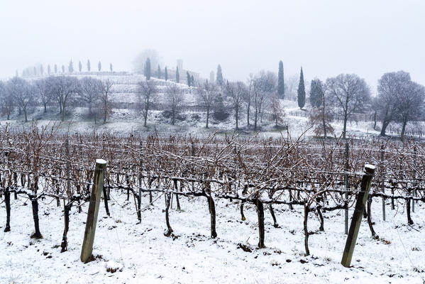 Snowfall in Franciacorta in Winter season, Brescia province, Lombardy district, Italy, Europe.
