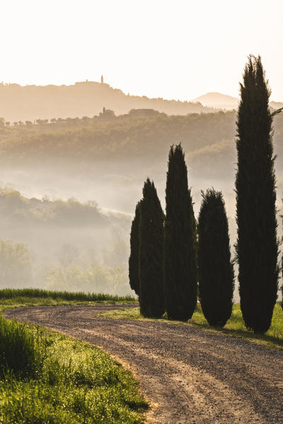 Sunrise in Orcia valley, Vitaleta chapel in San Quirico d'Orcia, Italy, Tuscany.