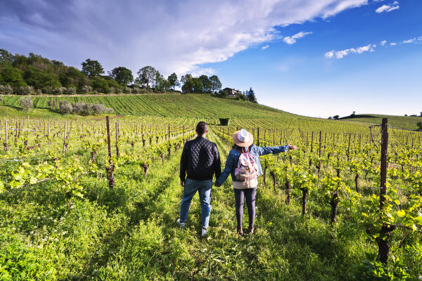 Couple among the vineyards of Franciacorta, Brescia province, Lombardy district, Italy, Europe (MR)