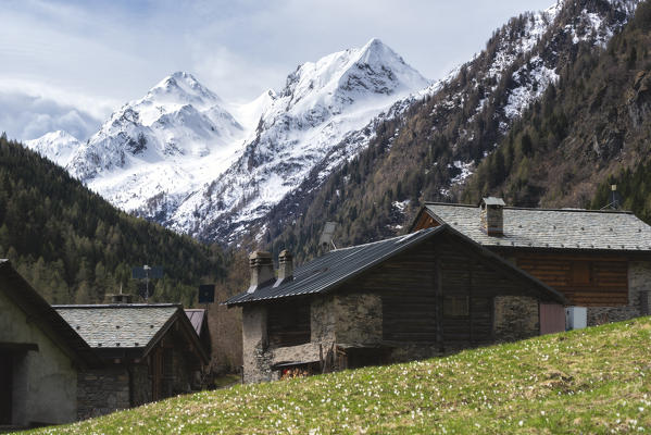 Spring season in Brandet Valley, Corteo Golgi in Brescia province, Lombardy district, Vallecamonica, Italy, Europe