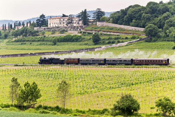 Steam train between the Franciacorta vineyards, Brescia province, Lombardy district, Italy, Europe