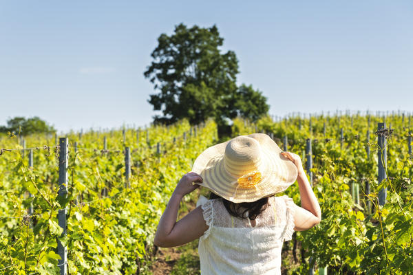 Girl among the vineyards of Franciacorta, Brescia province, Lombardy district, Italy, Europe