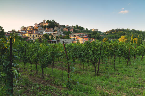 Corte de Lantieri winery, Brescia province, Lombardy district, Italy Europe