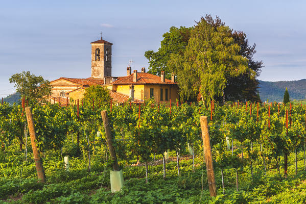 Church immersed in the Franciacorta vineyards, Brescia province, Lombardy district, Italy.