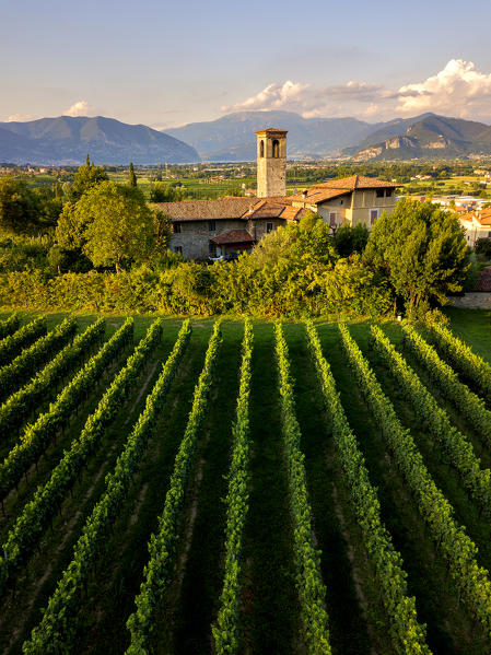 Church of Torbiato surrounded by the Franciacorta vineyards, Brescia province, Lombardy district, Italy.