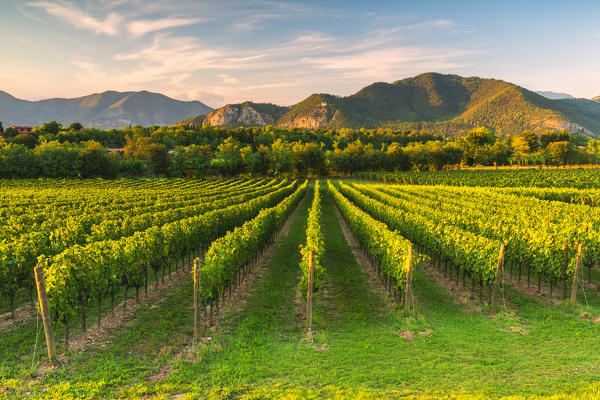 Sunset in Franciacorta in summer season, Brescia province, Lombardy district, Italy, Europe.