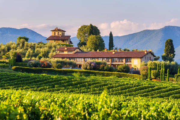 Landscapes and vineyards of the Franciacorta at sunset in Brescia province, Lombardy district, Italy, Europe