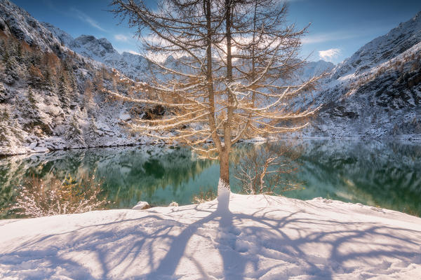 Autumn season in Aviolo lake, Vallecamonica, Brescia province, Lombardy, Italy, Europe