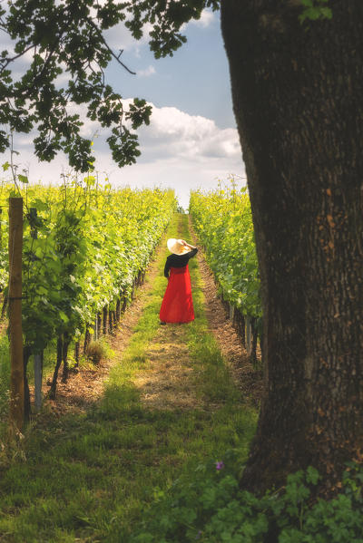 Model among the vineyards in Franciacorta, Brescia province, Lombardy district, Italy, Europe.