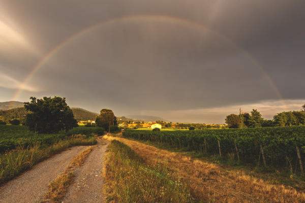Rainbow in Franciacorta, Brescia province, Lombardy district, Italy, Europe.