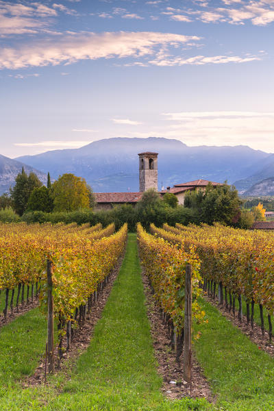 Autumn season in Franciacorta, Brescia province, Lombardy district, Italy, Europe.