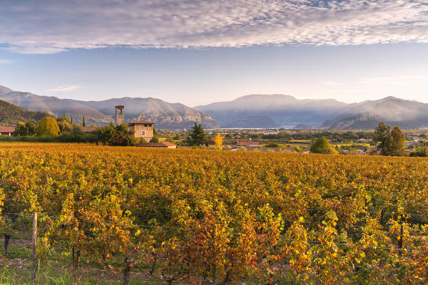 Autumn season in Franciacorta, Brescia province, Lombardy district, Italy, Europe.