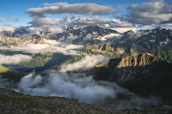 Presanella group at sunset view from Cima Casaiole in Stelvio national park, Brescia province, Lombardy, Italy, Europe.