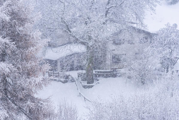 Mountain refuge under the snowfall in Brescia province, Lombardy district, Italy, Europe 