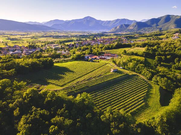 Spring season in Franciacorta, Brescia province, Lombardy, Italy.