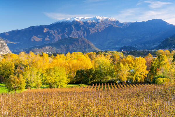 Franciacorta vineyards in autumn season, Brescia province in lombardy district, Italy.