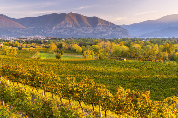 Autumn season in Franciacorta, Brescia province in Lombardy district, Italy.