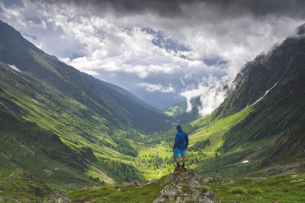 Hiker in Italian alps, Canè valley in Stelvio national park, Brescia province in Lombardy district, Italy.