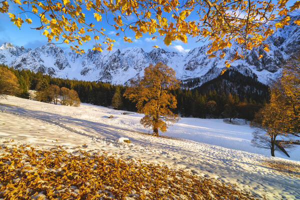 Autumn season in Orobie Alps, Schilpario in Scalve valley, Bergamo province in Lombardy district, Italy.