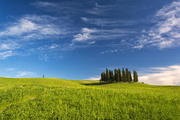 San Quirico d'Orcia, Orcia Valley, Siena province, Tuscany, Italy