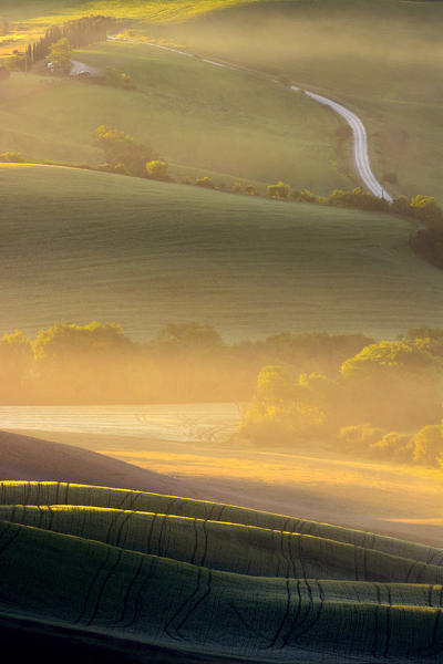 Details at dawn in the hills near San Quirico d'Orcia, Val d'Orcia, UNESCO heritage, Tuscany Italy