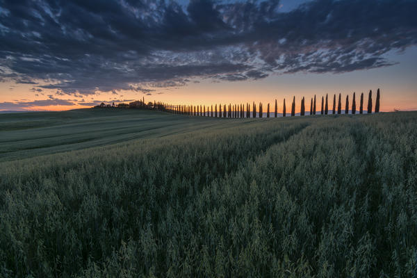 Before dawn, Val d'Orcia province of Montalcino, Tuscany Italy