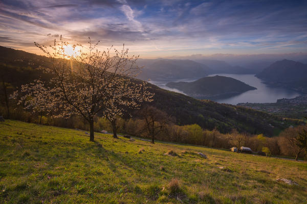 Iseo lake at Sunset,province of Brescia, Italy.