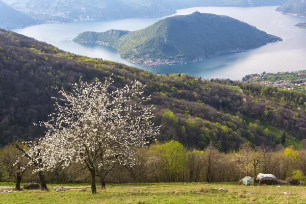 Montisola, province of Brescia, Iseo lake, Italy.