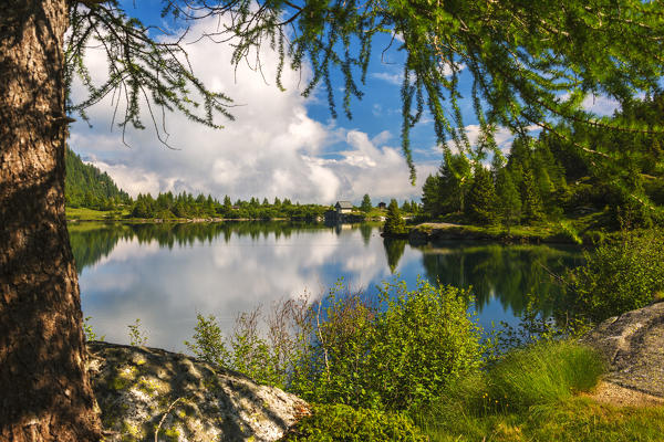 Europe, Italy, Aviolo lake in Adamello park, province of Brescia.